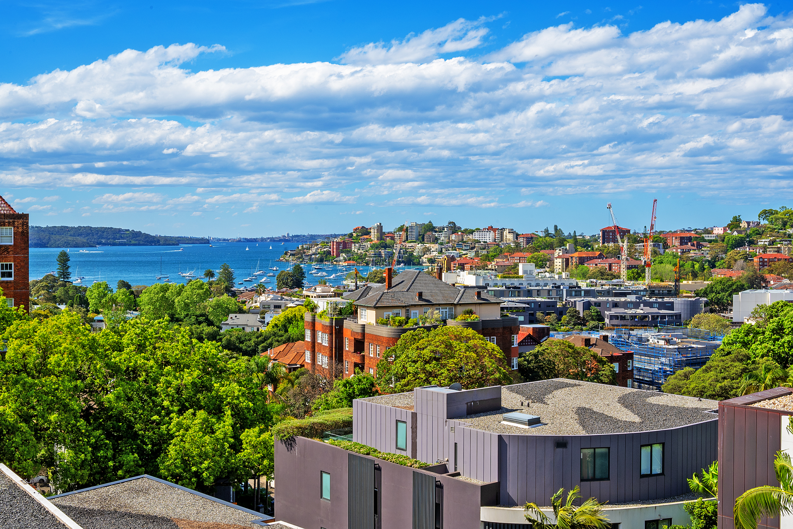 Sydney Harbour views from Apartment4,363 Edgecliff Road Edgecliff